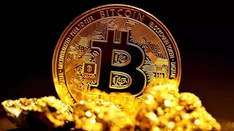 O que é a mineração de criptomoedas e quais são os diferentes tipos de processo? O que é a mineração de criptomoedas e quais são os diferentes tipos de processo?